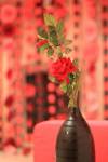 Red_and_Black_theme_Anniversary_party_decoration_10